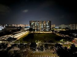 La Fiesta (D19), Condominium #596734091
